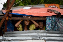Philippines thảm họa sau siêu bão Haiyan