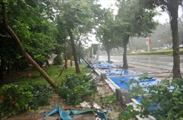 Bão Haiyan gây thiệt hại tại Trung Quốc
