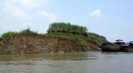 Khai thác cát làm sông Lô sạt lở