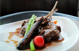 Ưu đãi nhân ngày 20/11 tại Sofitel Plaza Hà Nội