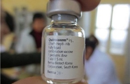 Tiếp tục tiêm vắc xin Quinvaxem trên phạm vi toàn quốc