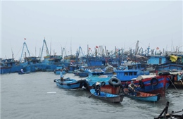 Phú Yên cấm tàu thuyền hoạt động từ hôm nay