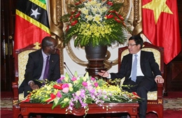Thủ tướng tiếp Ngoại trưởng Saint Kitts and Nevis 