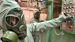 Vũ khí hóa học Syria có thể phải tiêu hủy trên biển