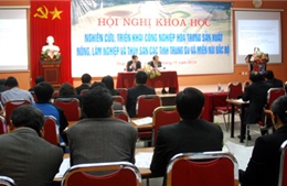 Phát huy lợi thế, tiềm năng vùng Tây Bắc