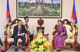 Phó Thủ tướng Campuchia tiếp Tổng Giám đốc Thông tấn xã Việt Nam