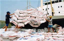Việt Nam trúng thầu xuất khẩu 500.000 tấn gạo sang Philippines 