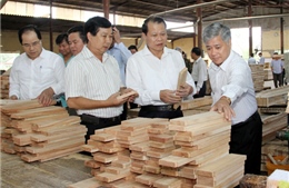 Tây Bắc xây dựng nông thôn mới: Tăng cường nguồn lực, điều chỉnh tiêu chí