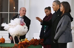 Tổng thống Obama xá tội cho gà tây
