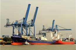Công bố Danh mục phân loại cảng biển Việt Nam 
