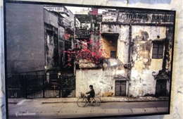 Hà Nội đẹp trong từng khoảnh khắc giao mùa