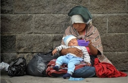 FAO kêu gọi Mỹ Latinh thúc đẩy chống đói nghèo