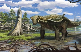 Khám phá khủng long &#39;bọc thép&#39; chưa từng được biết đến 
