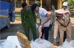 Bắt gần một tấn thịt, nội tạng động vật không rõ nguồn gốc 