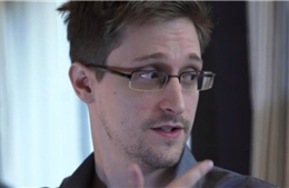 Snowden trả lời phỏng vấn Nghị viện châu Âu qua video 