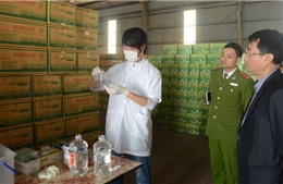 Bắt khẩn cấp giám đốc công ty rượu 29 Hà Nội 
