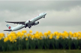 Air Canada mua 61 máy bay Boeing giá 6,5 tỷ USD