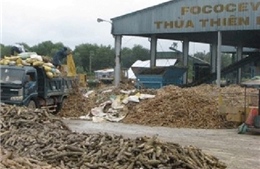 Phạt cơ sở sản xuất tinh bột gây ô nhiễm 260 triệu đồng
