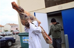 Lại bê bối thịt ngựa nghiêm trọng ở Pháp
