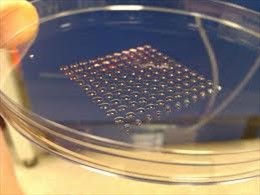 Tái tạo thành công tế bào võng mạc bằng máy in phun 3D