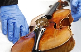 Bán đấu giá cây violin Stradivarius cổ 