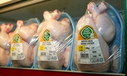 Hầu hết thịt gà tươi sống tại Mỹ có khả năng nhiễm khuẩn 