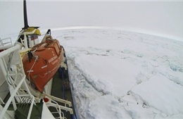 3 tàu phá băng giải cứu tàu chở 74 người mắc kẹt ở Nam cực
