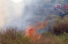 TPHCM: Cháy ngùn ngụt khu đất 1.000 m2 