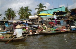 Về miền Tây ăn Tết trên sông