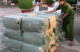 Thu giữ gần 1,5 tấn thuốc thú y nhập khẩu trái phép 
