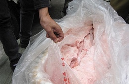 Hà Nội phát hiện ô tô chở 1 tấn nầm lợn thối 
