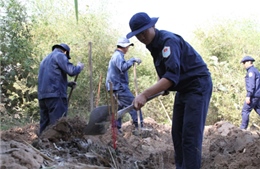 Đưa các anh về với quê hương 