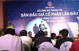 Viglacera công bố chào bán cổ phiếu lần đầu ra công chúng