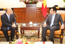 Phó Thủ tướng Phạm Bình Minh tiếp Tổng Giám đốc IAEA  