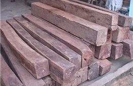 Bắt vụ vận chuyển 1.570 kg gỗ lậu qua đường hàng không 