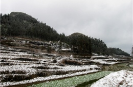 Người dân Hà Giang khốn đốn vì giá rét