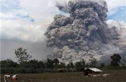  Indonesia: 16 người thiệt mạng do núi lửa phun trào 