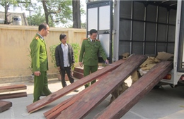 Lại phát hiện vận chuyển gỗ lậu qua sân bay Nội Bài