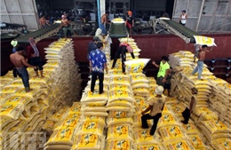 Thái Lan điều tra tham nhũng chương trình trợ giá gạo 