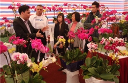 Hội chợ Xuân Giáp Ngọ - Nơi mua sắm tin cậy