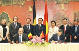 Phó Thủ tướng Hoàng Trung Hải hội đàm với Phó Thủ tướng Bỉ 