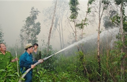 Dập tắt đám cháy rừng phòng hộ tại Bắc Ninh