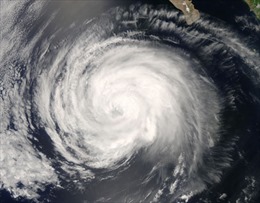 Nguy cơ bão lớn ở Tây Bắc Thái Bình Dương do ô nhiễm