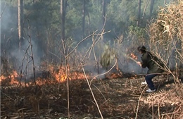 Liên tiếp cháy tại chân đồi D1 Điện Biên