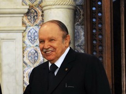Algeria: Đảng Hồi giáo và thế tục tẩy chay bầu cử tổng thống