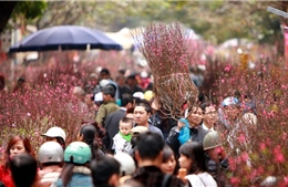 Cận Tết, thời tiết đẹp trên cả ba miền