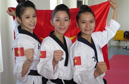 Những “chiến mã” của thể thao Việt Nam