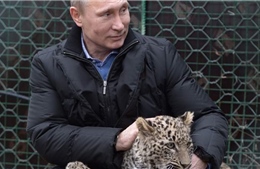 Tổng thống Nga thân thiện vuốt ve báo