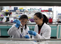 Trung Quốc phát triển thành công vắcxin ngừa H7N9