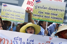 Thái Lan ấn định thời điểm bầu thượng nghị sĩ
